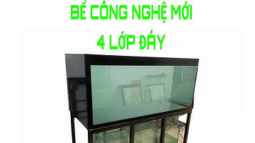 Bể công nghệ mới 4 lớp đáy nuôi cá rồng