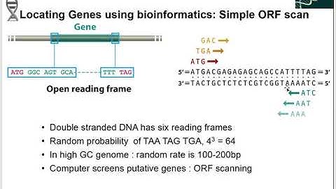 Genome Annotation