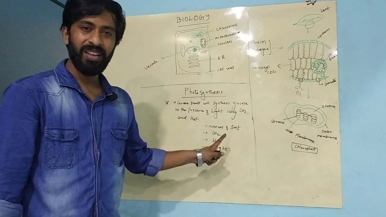 9th biology 01 English medium 