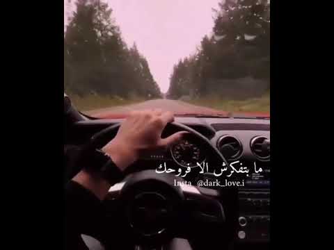 شيرين انت اناني