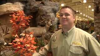 Tour of NEW Cabela's in Woodbury, MN