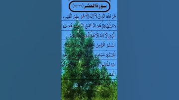SURAH AL HASHR BEAUTIFUL VOICE سورة الحشر #egzonibrahimi #surahalhashr #alhashr #surahhashr