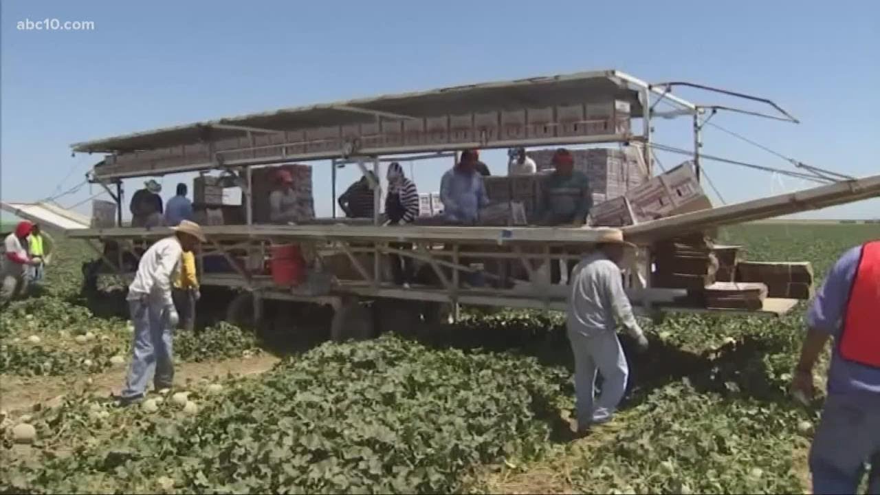 California farmers concerned about fire and smoke as the harvest is underway