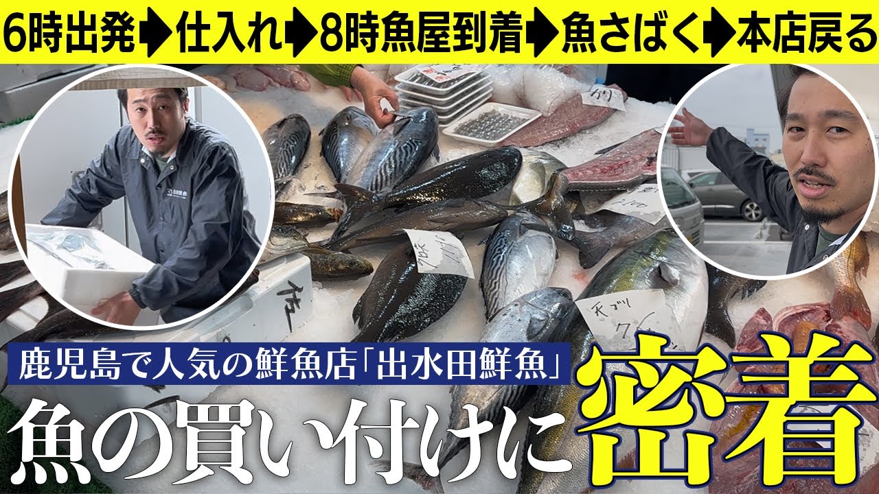 魚屋さんの仕入れに密着してみた／鹿児島中央卸売市場／出水田鮮魚店