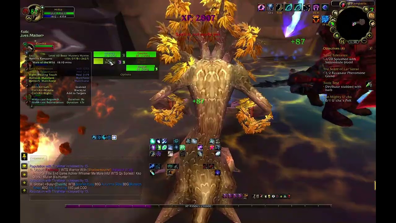 WOW Restoration Druid 59lvl - 60lvl - Dungeon Hellfire Ramparts