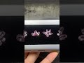 Lô spinel phấn non kết bộ xinh ạ