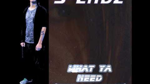 S-Endz - What Ya Need [The Neofunk] (2010)