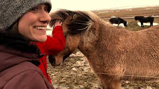 Forever in Iceland - A Gullfoss Proposal