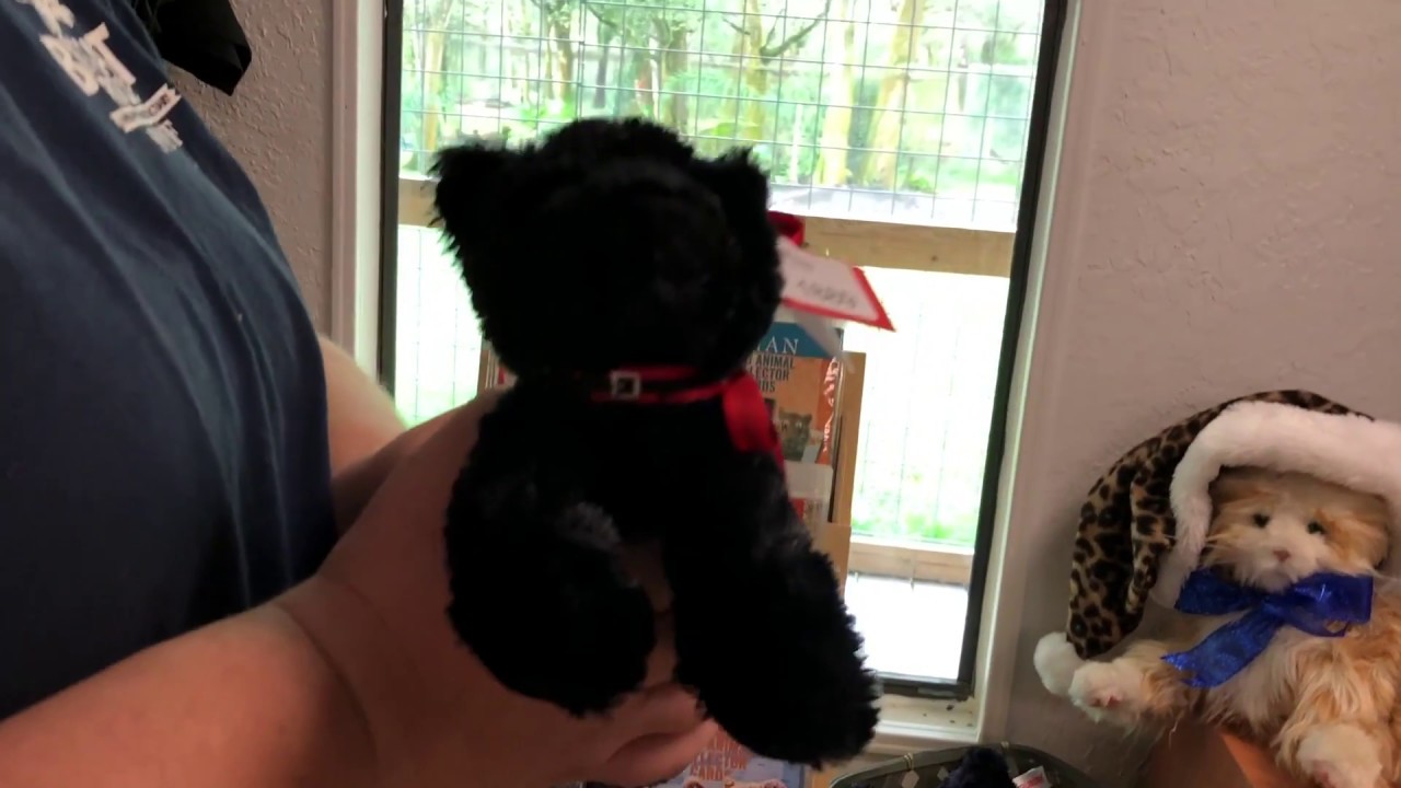 plushie PLUSH BLACK LEOPARD ONYX