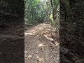 #nature #trail #naturetrail #trending #travel