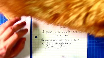 Section 8.4 - Vectors part 1