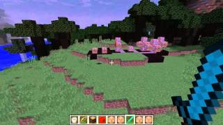 Minecraft Commands | Vampires!