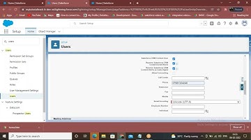 Salesforce Users & Profiles in Telugu