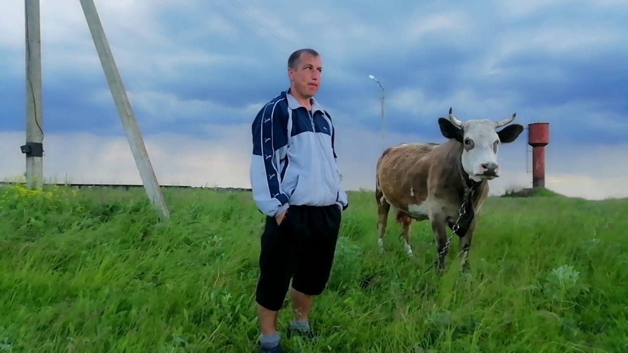 🔴ЛЕЧЕНИЕ СОСКОВ ВЫМЕНИ У КОРОВЫ - YouTube