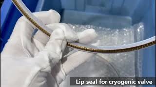 Lip Seal For Cryogenic Valve.
