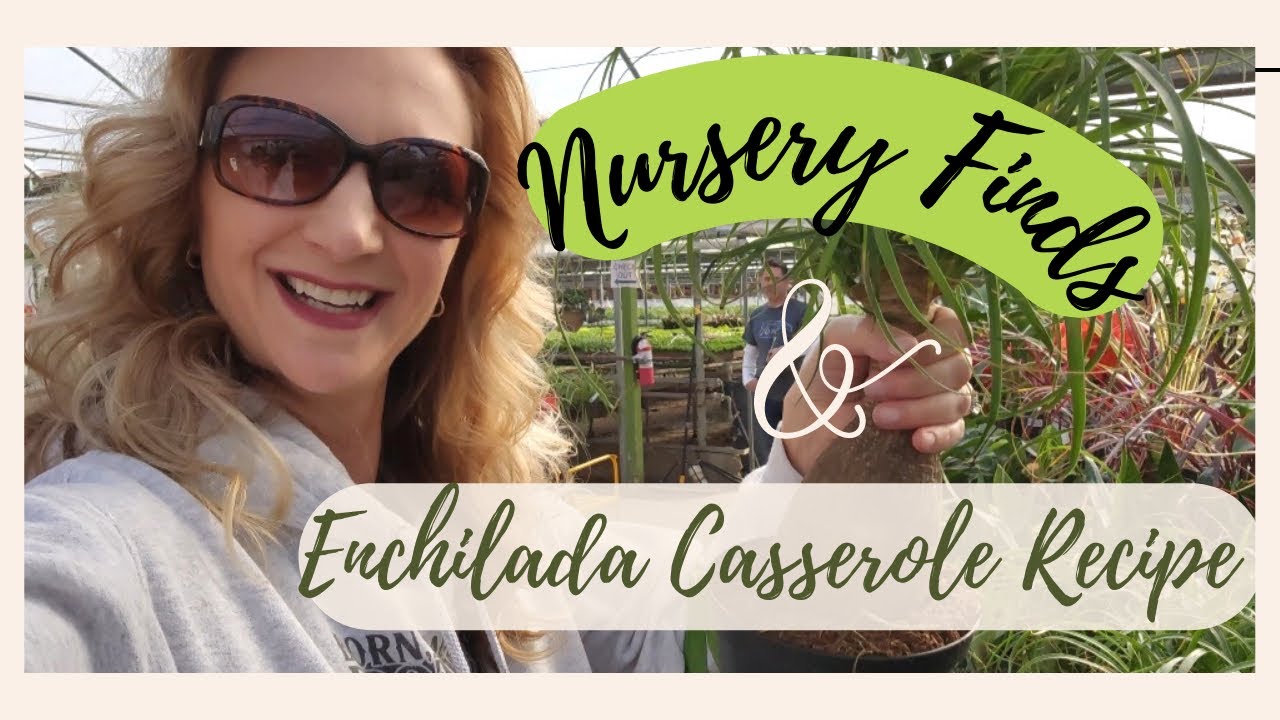 Easy Chicken Enchilada Casserole Pantry Challenge 2023 YouTube