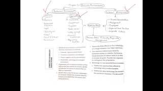 BM Unit 1 - Chapter 3