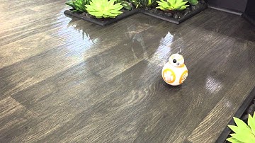 Sphero BB8 droid demo at IFA 2015