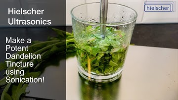 Dandelion Leaf Tincture - Achieve High Potency and Efficiency by Sonication