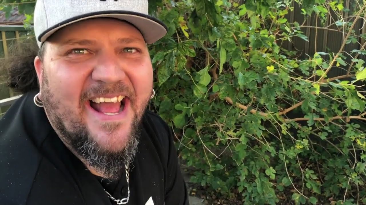 Backyard Feeds S01E02 - Wattleseed Damper