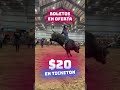 #morocodepatzcuaro listo para el 2026 #jaripeo #montadetoros #toros #toro #videosdetoros #jaripeos