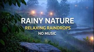 Heavy Rain Sounds for Sleep | Natural Rain Ambience (No Music) Soothing