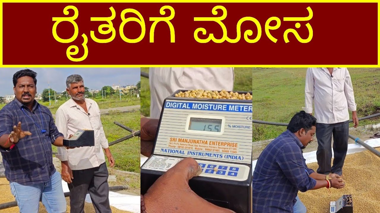 Soyabean & Maize Farmers Must Watch This! | APMC Traders Cheating Truth | Farming Business Karnataka