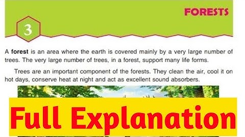||Forests Explanation DAV||DAV Class 5 Science Ch 3 Explanation||Collection Of Study||