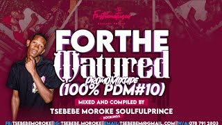 ForTheMaturedPromoMixtape(100%ProductionMix10ByTsebebeMorokeRoadToTheRiseOfTheSoulfulPrinceEp)