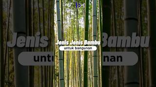 JENIS BAMBU UNTUK BANGUNAN - Belajar Arsitektur