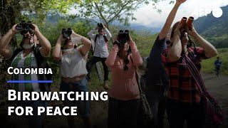 Birdwatching for peace in Colombia | AFP