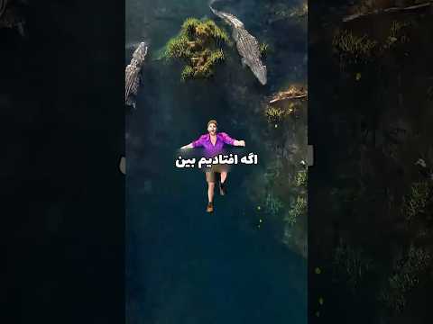 اگر افتادیم بین چند تا تمساح چیکار کنیم دانستنی سرگرمی