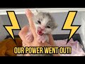 POWER OUTAGE! Troubleshooting Kitten Care Without Electricity