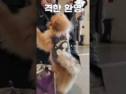 댕픽(pick) | 앉으면 생기는 일