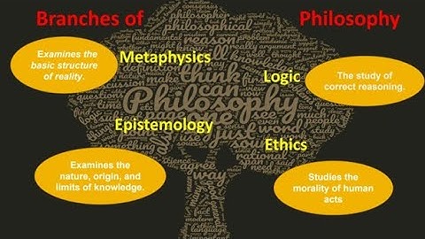 Branches of Philosophy