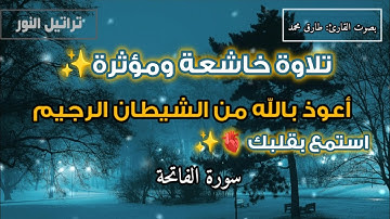 سورة الفاتحة تلاوة خاشعة ومؤثرة ✨ بصوت القارئ: طارق محمد 💎✨ استمع بقلبك 🫀✨