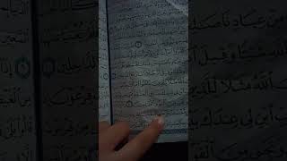 🌺🌷آيات من سورة الطلاق للقارئ اسلام صبحي 🌺🌷