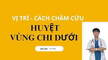 Huyệt vùng chi dưới  | xác định huyệt chi dưới( 31 HUYỆT VÙNG CẢNG CHÂN ) trên cơ thể người thực