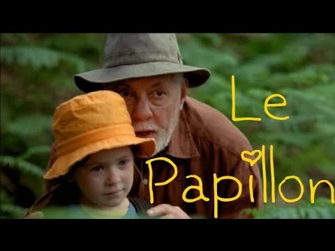 Le Papillon – Pourquoi (with lyrics and translation)