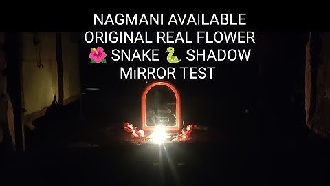 ✓(NAGMANI) AVAILABLE {ORIGINAL} REAL FLOWER 🌺 SNAKE🐍SHADOW MiRROR TEST CALL Me NOW👈🏻 [9657775587]👈🏻