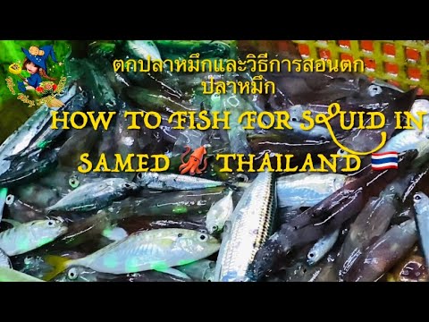 [Review] “ตกปลาหมึกและการสอนวิธีตกปลาหมึก” HOW TO FISH FOR SQUID IN SAMED 🦑 THAILAND 🇹🇭