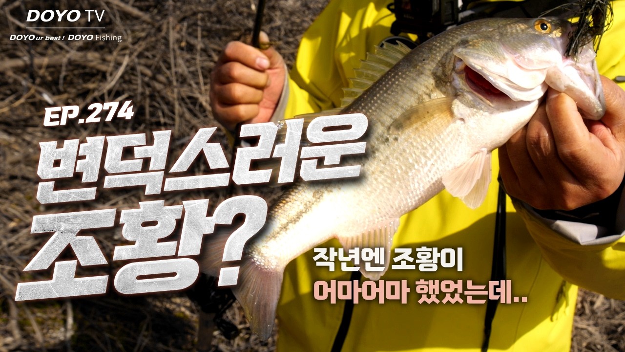 [도요TV ep.274] 다시 찾은 대박 포인트.. 올해의 배스 상황은?