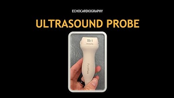 ULTRASOUND PROBE: Movements! (Echocardiography)