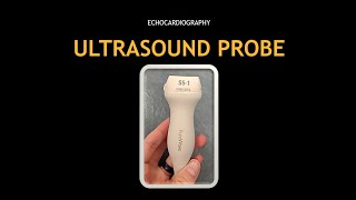 ULTRASOUND PROBE: Movements! (Echocardiography)