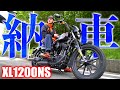【祝納車】1200ccの黒いヤツ!待ちに待ったXL1200NSがやってきた!!! Harley-Davidson sportster XL1200NS Iron