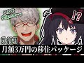 月額3万円のガイル村移住パッケージをアルランディスさんに勧められるジュリ使い【 #7starstream / #ナナホシナナ / #切り抜き 】