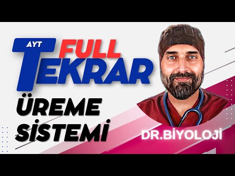 #Üreme Sistemi AYT Biyoloji Full Tekrar | 2024 | #drbiyoloji