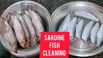 Sardine Fish Cleaning Tutorial 🐟🔪 Step-by-Step Guide