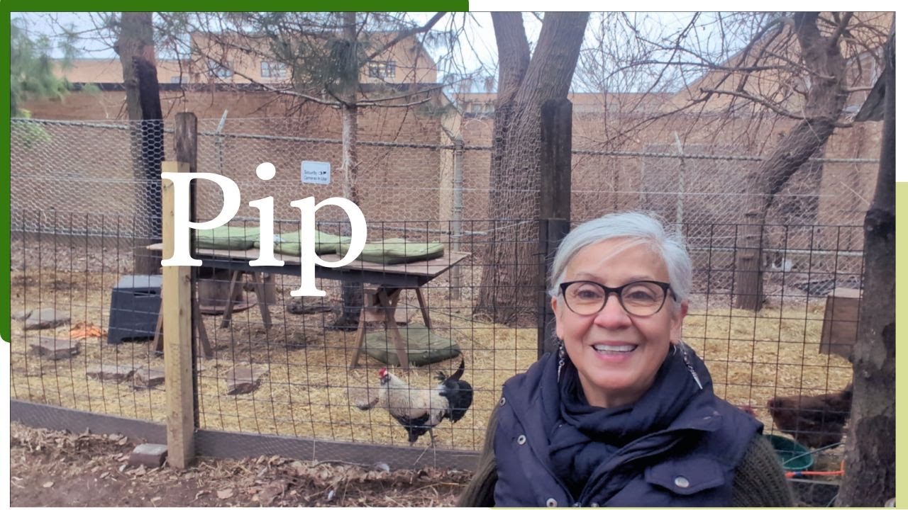 Pip