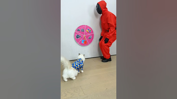 Puff joins the Squid Game craze! Can he outsmart the competition? #PuffPlays#SquidGameChallenge